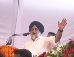 WhatsApp Image 2022 09 25 at 19.36.41