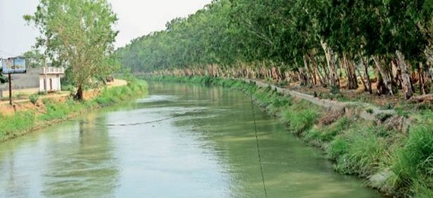 जेएलएन फीडर में रिकॉर्ड 3500 क्यूसिक पानी चलाने का ट्रायल सफल 1 IMG 20231017 134518