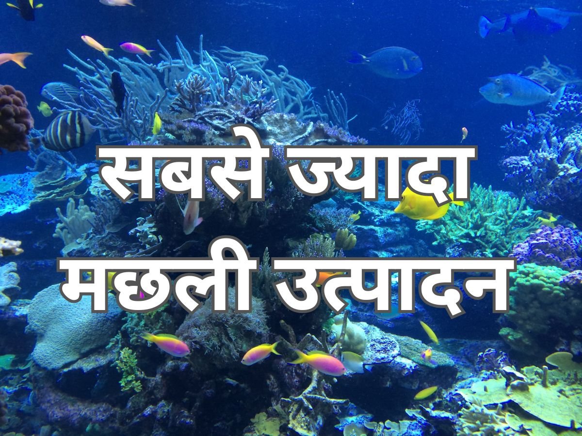 सबसे ज्यादा मछली उत्पादन