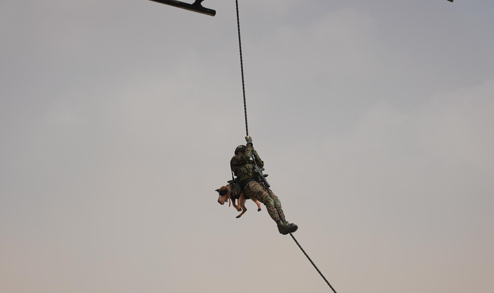 WhatsApp Image 2024 03 03 at 18.47.16 1