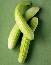 download - 2024-03-23T165358.723