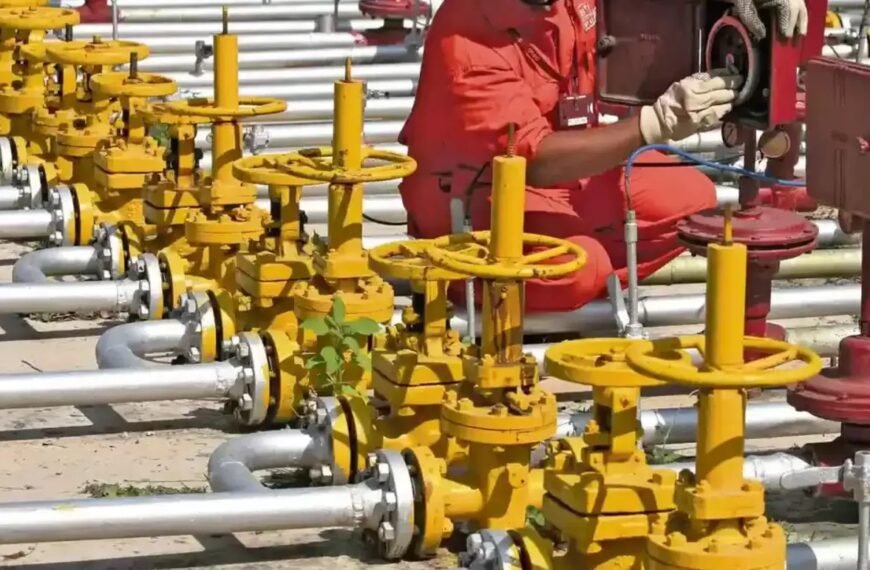 Home 1 6000 PNG ग्राहकों ने छोड़ा LPG कनेक्शन, सप्लाई में होगा सुधार”LPG connection India