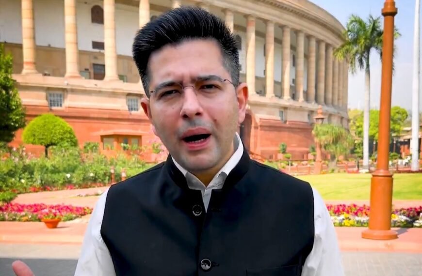 संसदीय प्रदर्शन पर राघव चड्ढा का जवाब- ‘काम ही बोलेगा Raghav Chadha parliament performance
